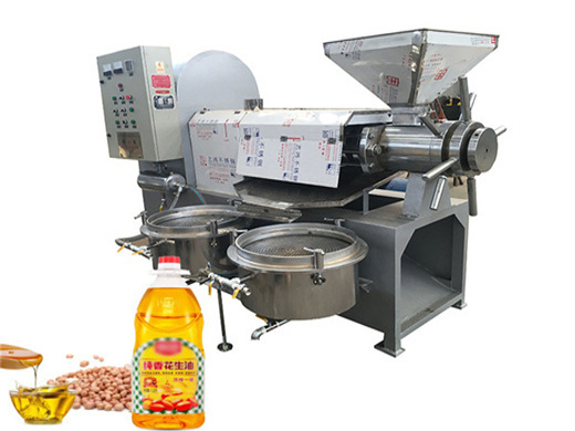 160a cheap small soybean peanut oil press machine in patan