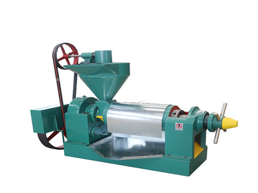 large type groundnut oil press machine in zambia