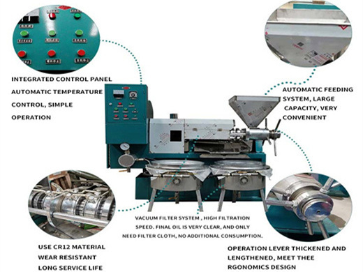 edible vegetable niger seed oil press machine in lesotho