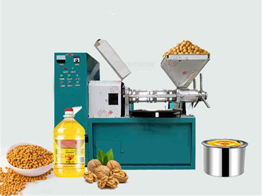 of peanut/ groundnut oil press/ processing machine in nigeria