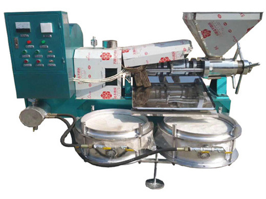 automatic pumpkin seeds screw oil press machine