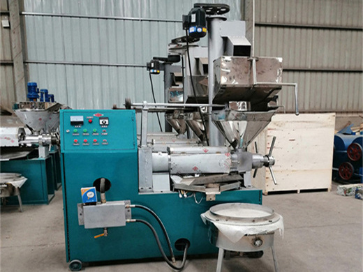 auto groundnut oil processing machine in lusaka