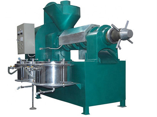 custom size cold oil press machine groundnut