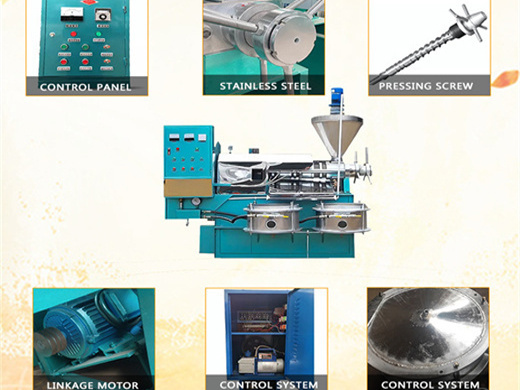 oil press plant edible oil extruder on in kwelu