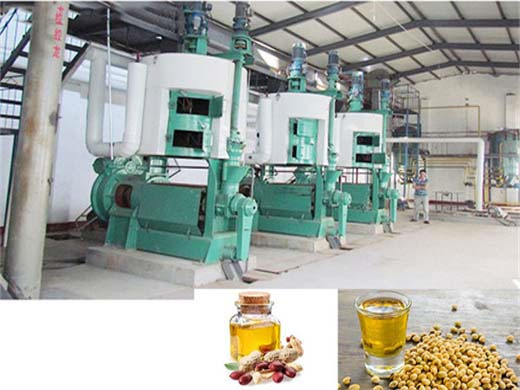 100 tpd groundnut oil processing plant in kabwe