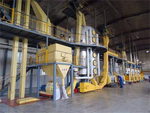 grape seed groundnut oil expeller machine in bandung