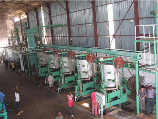 professional manufacture rapeseed oil press machine price in lesotho