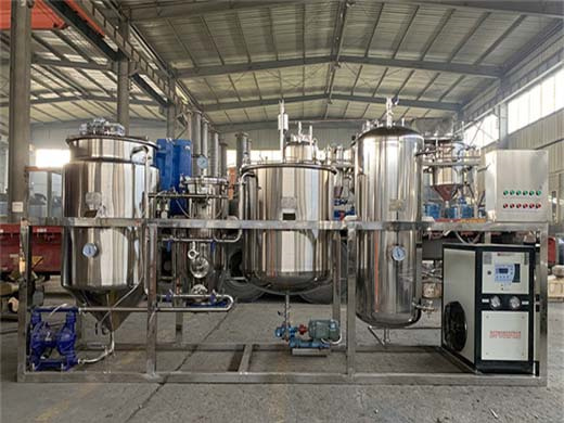 3tpd 10tpd palm oil refining machine in kenya