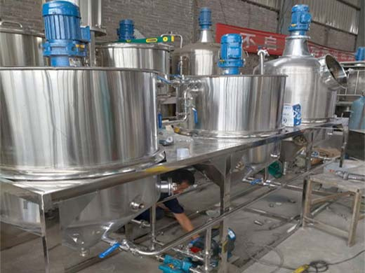 all scales cooking oil refining equipment in tete