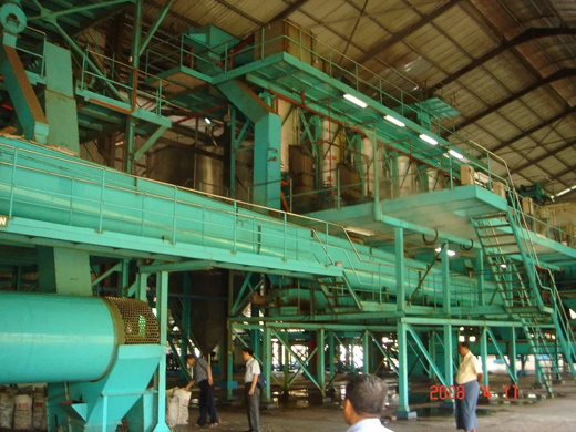 manufacturer company palm oil press machine ?? in patan