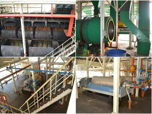 hot in! palm oil press machine with ce in peshawar