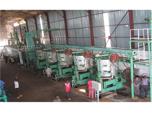 morocco customized palm oil expeller in botswana