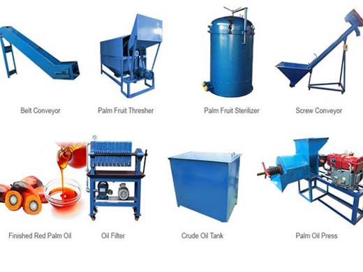 hot sale red palm oil extraction machine in kenya