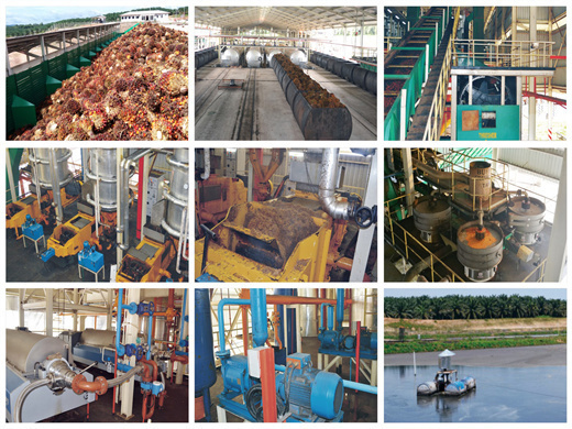 30tph palm kernel oil extraction equipment in lahore