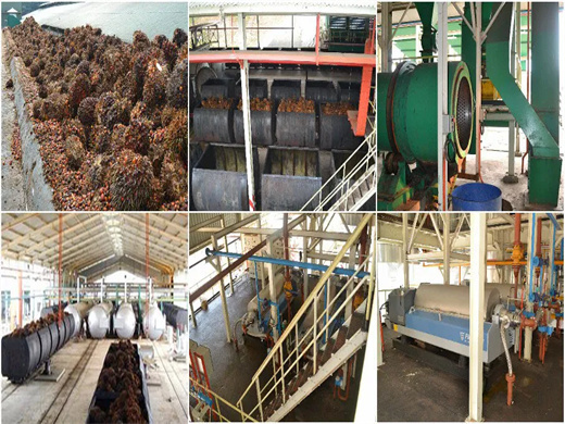 palm oil press machine mini rice bran oil press machine plant hj p09 in ghana