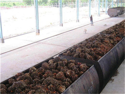 palm oil pressing machinery in pokhara